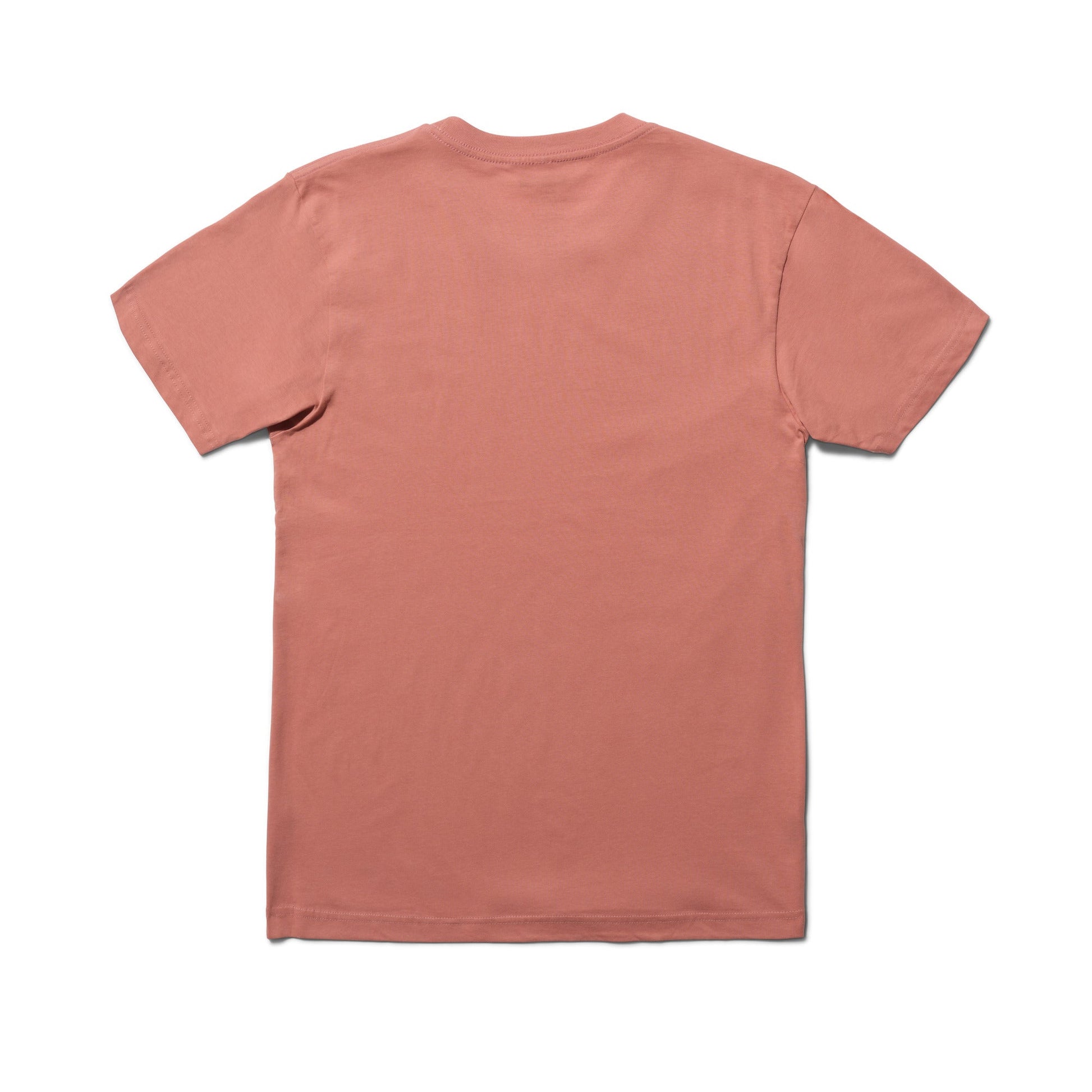 Stance Functional T-Shirt Dusty Rose