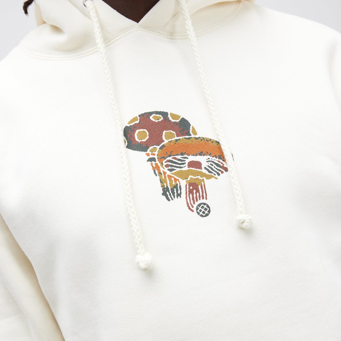 Stance Interconnected Hoodie Bone |model