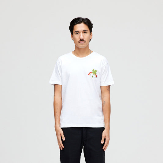 Stance Lucky Rainbow T-Shirt White |model
